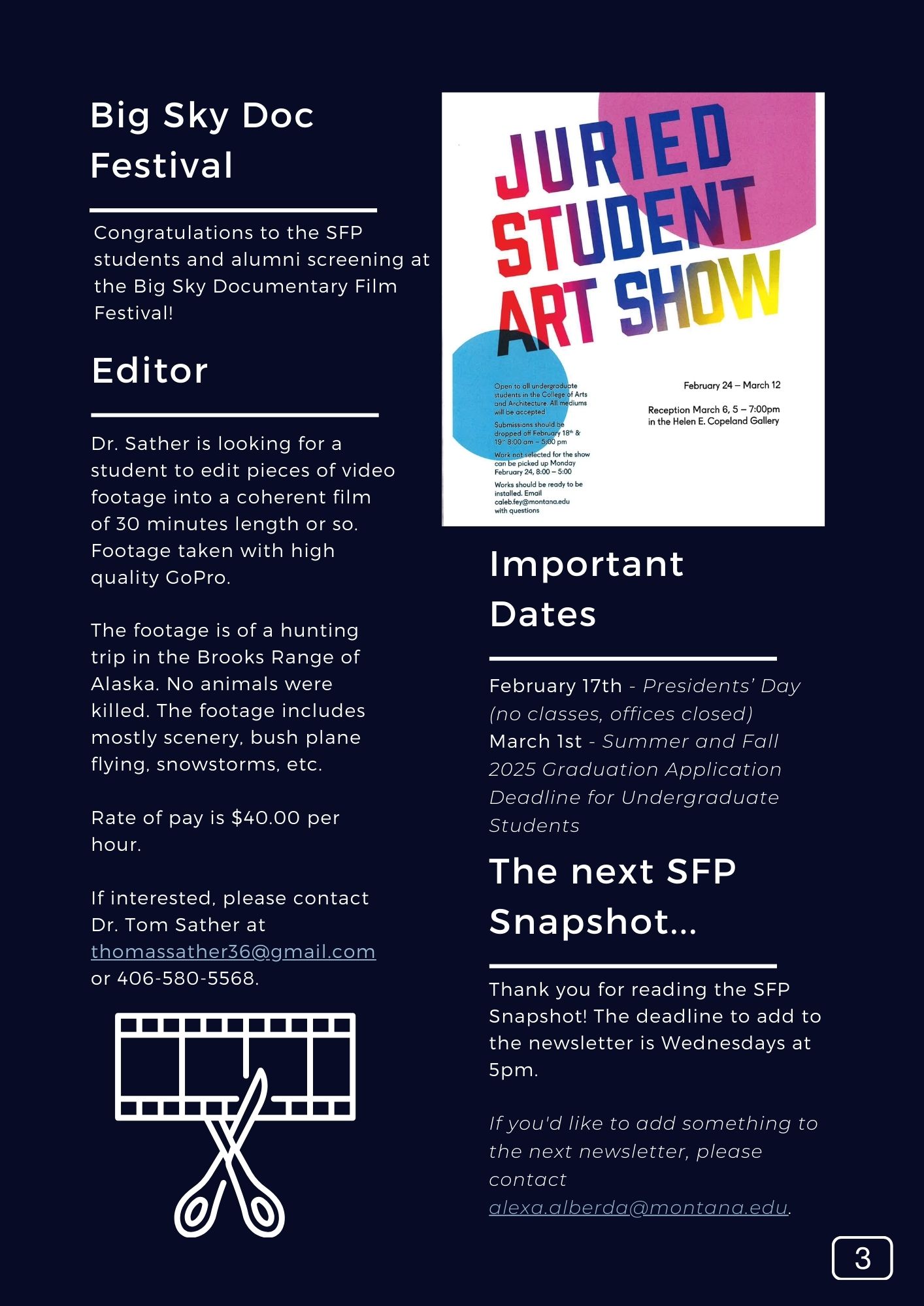 The SFP Snapshot V145 Page 4