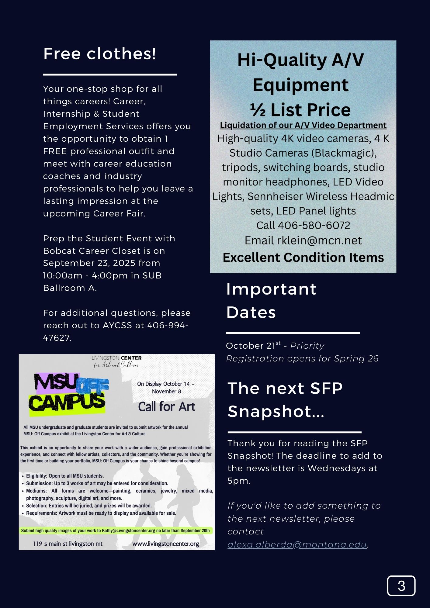 The SFP Snapshot V160 Page 4